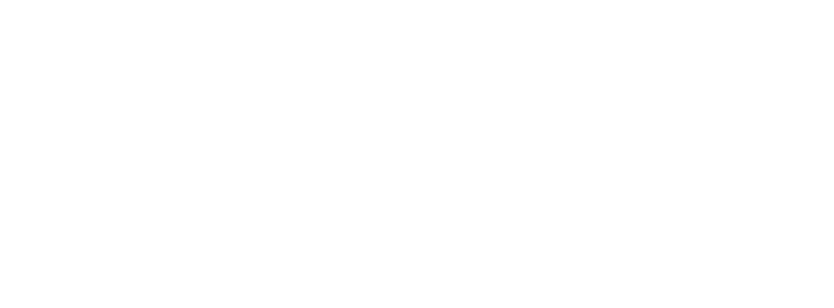 Nelson-Connects-Logo_White-Horizontal-1-768x284